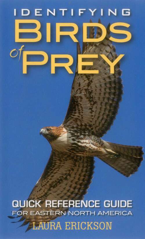 Book cover of Identifying Birds of Prey: Quick Reference Guide for Eastern North America