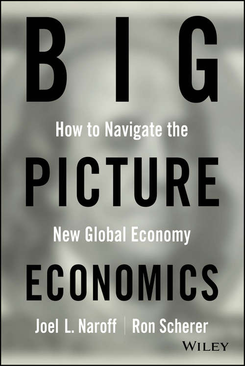 Book cover of Big Picture Economics