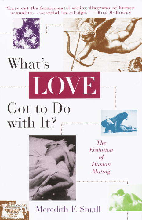 Book cover of What's Love Got to Do with It?