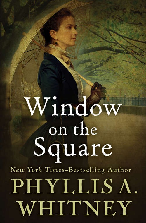 Book cover of Window on the Square