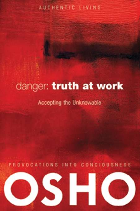 Book cover of Danger: Truth at Work