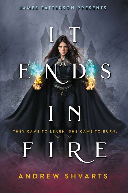 Book cover of It Ends in Fire