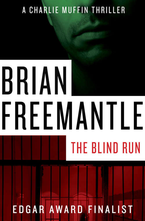 Book cover of The Blind Run
