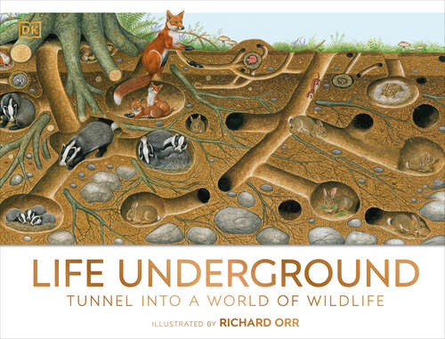 Book cover of Life Underground: Tunnel into a World of Wildlife (DK Panorama)