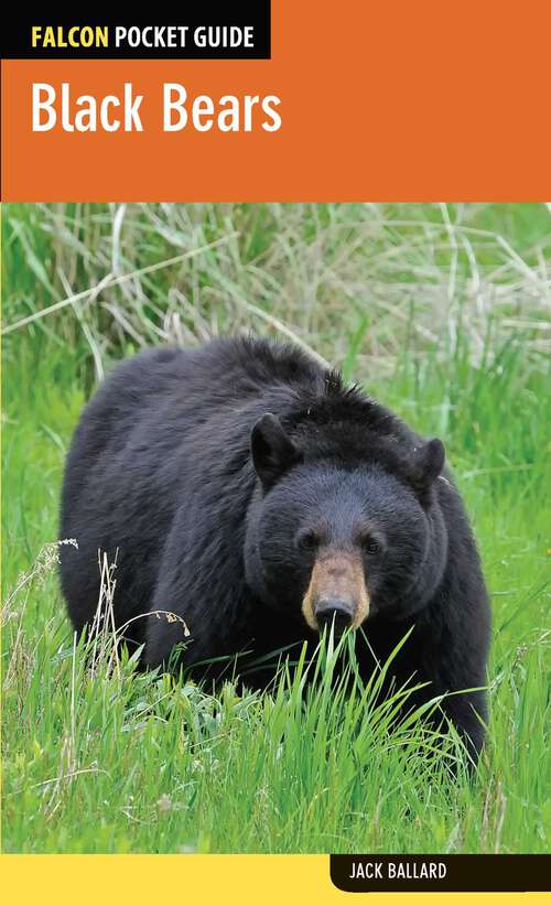 Book cover of Black Bears (1st Edition) (Falcon Pocket Guides)