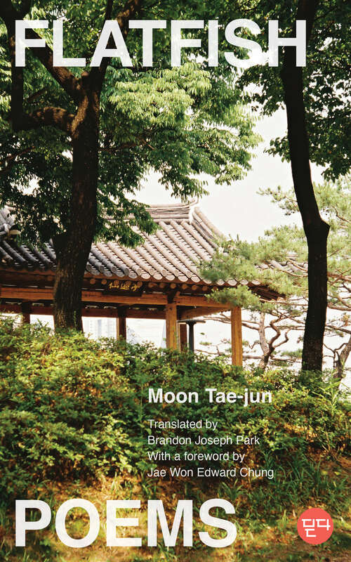 Book cover of Flatfish: Poems, A Bilingual Edition (DITTA: Korean Humanities in Translation)