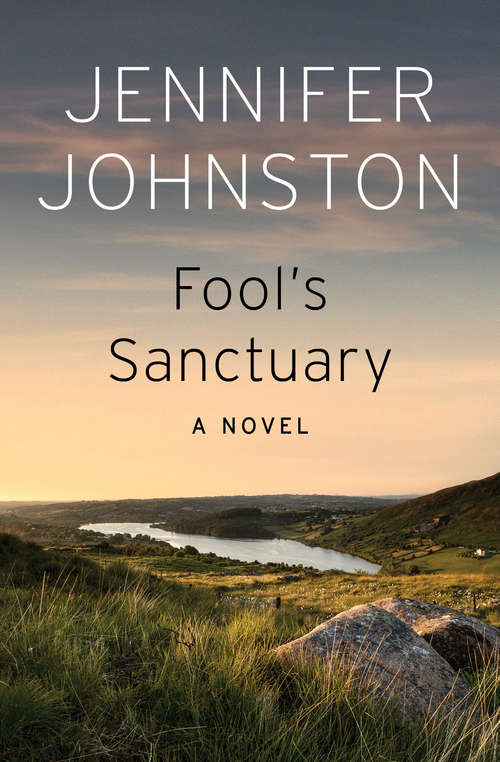 Book cover of Fool's Sanctuary: A Novel