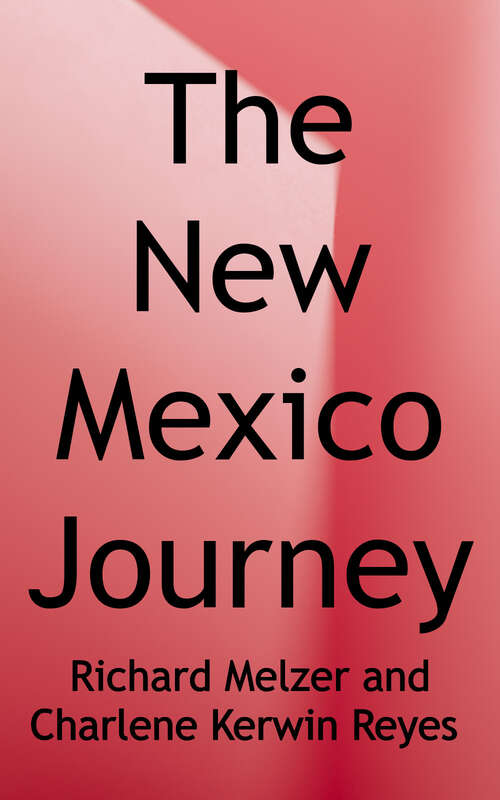 Book cover of The New Mexico Journey: To Enrich and Inspire Humankind