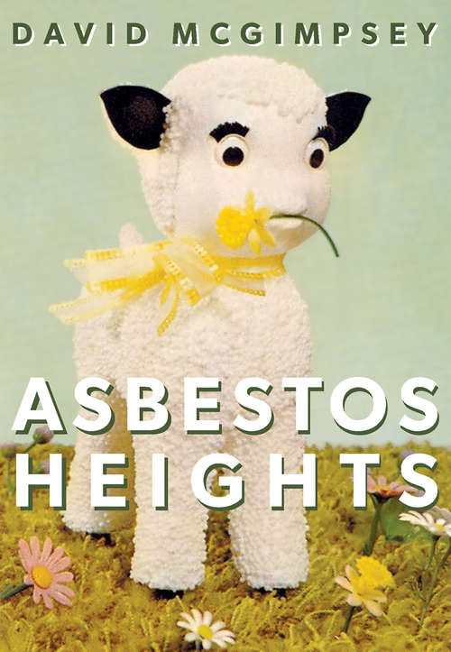Book cover of Asbestos Heights