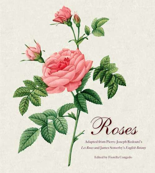 Book cover of Roses: Mini Archive