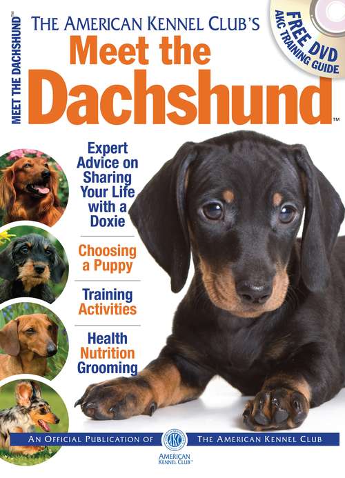 Book cover of Meet the Dachshund