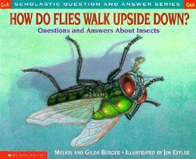 Book cover of How Do Flies Walk Upside Down? Questions and Answers About Insects