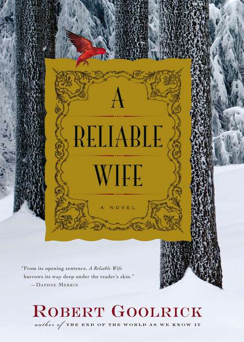 Book cover of A Reliable Wife