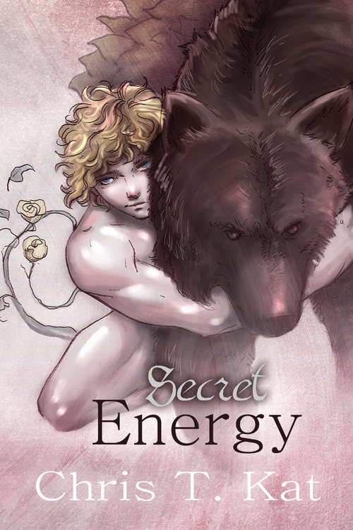 Book cover of Secret Energy (Shifters)