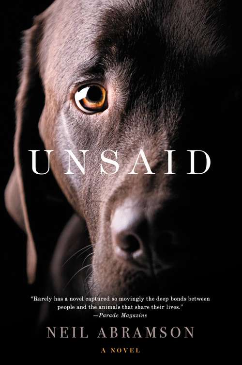 Book cover of Unsaid: A Novel