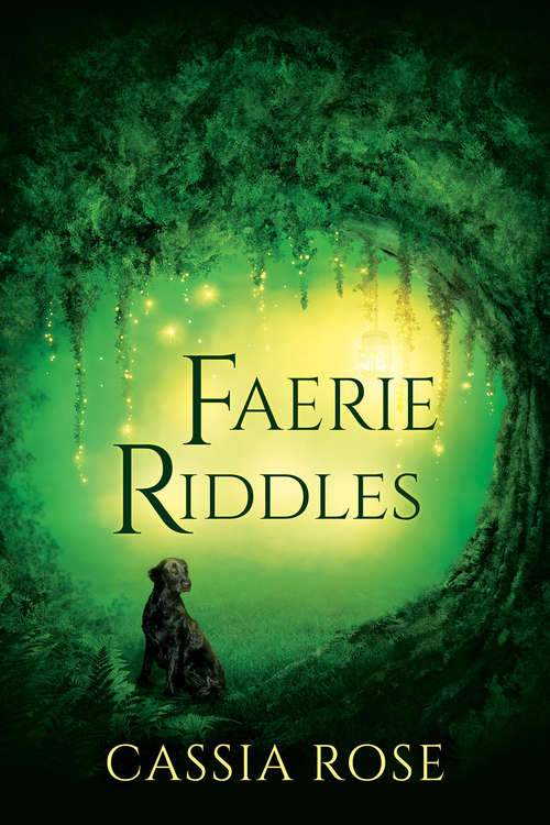 Book cover of Faerie Riddles