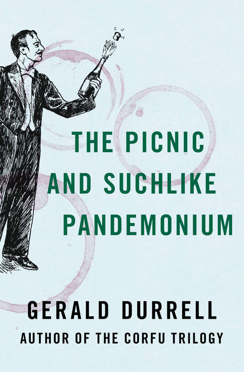 Book cover of The Picnic and Suchlike Pandemonium