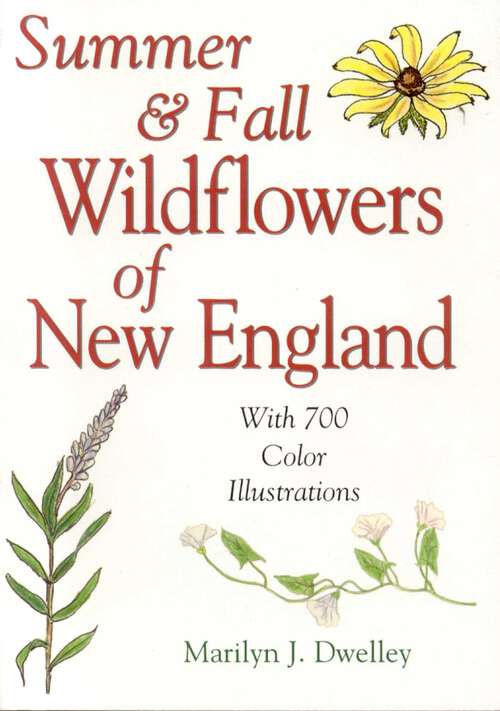 Book cover of Summer & Fall Wildflowers of New England