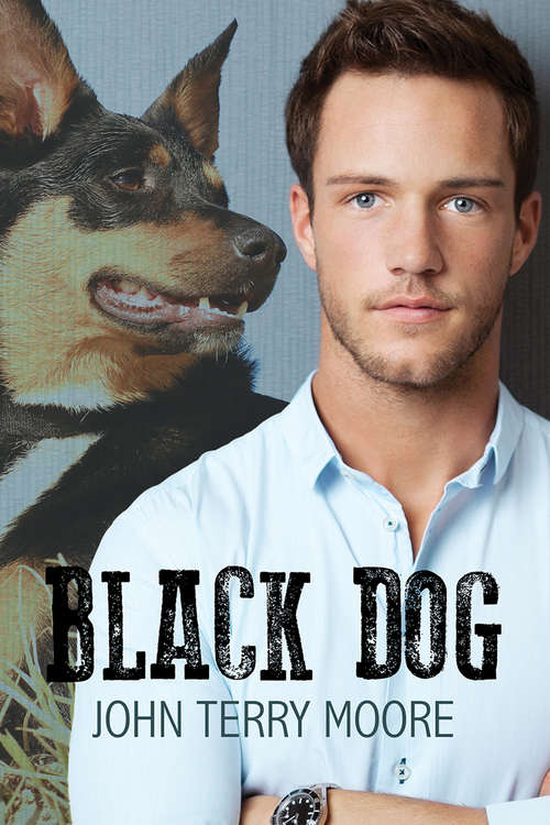 Book cover of Black Dog