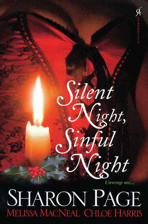 Book cover of Silent Night, Sinful Night