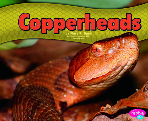 Book cover of Copperheads (Snakes Ser.)