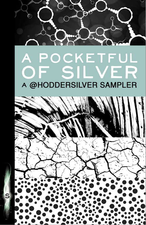 Book cover of A Pocketful of Silver