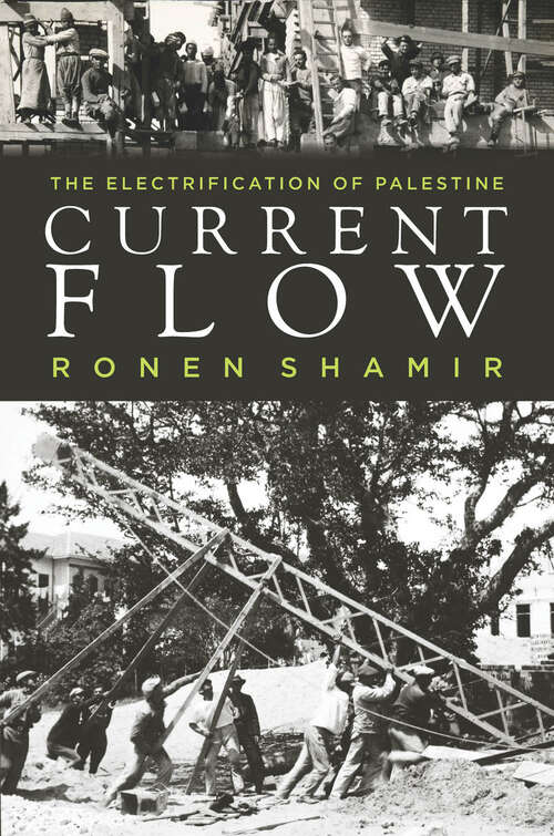 Book cover of Current Flow: The Electrification of Palestine