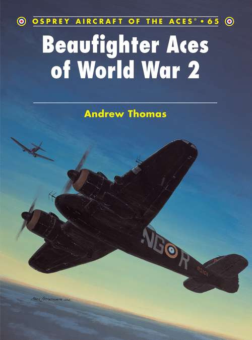 Book cover of Beaufighter Aces of World War 2
