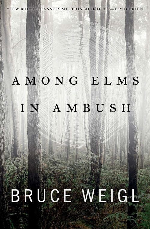 Book cover of Among Elms, in Ambush