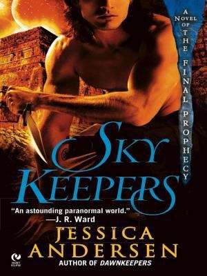 Book cover of Skykeepers