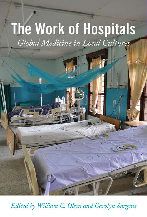 The Work of Hospitals: Global Medicine in Local Cultures