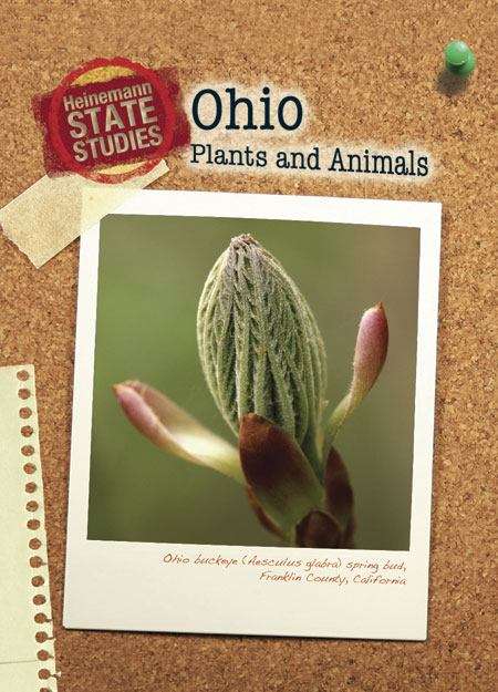 Book cover of Ohio Plants and Animals (Heinemann State Studies)