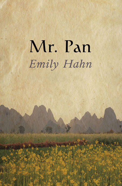 Book cover of Mr. Pan