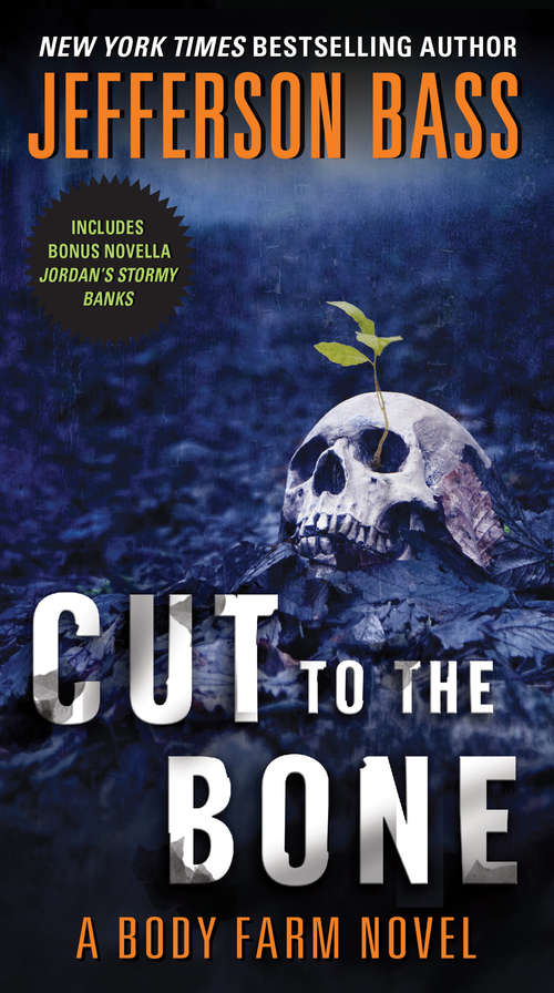 Book cover of Cut to the Bone