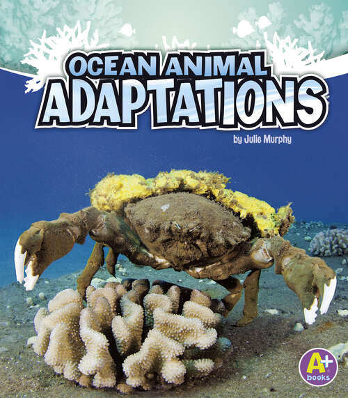 Ocean Animal Adaptations (Amazing Animal Adaptations Ser.)