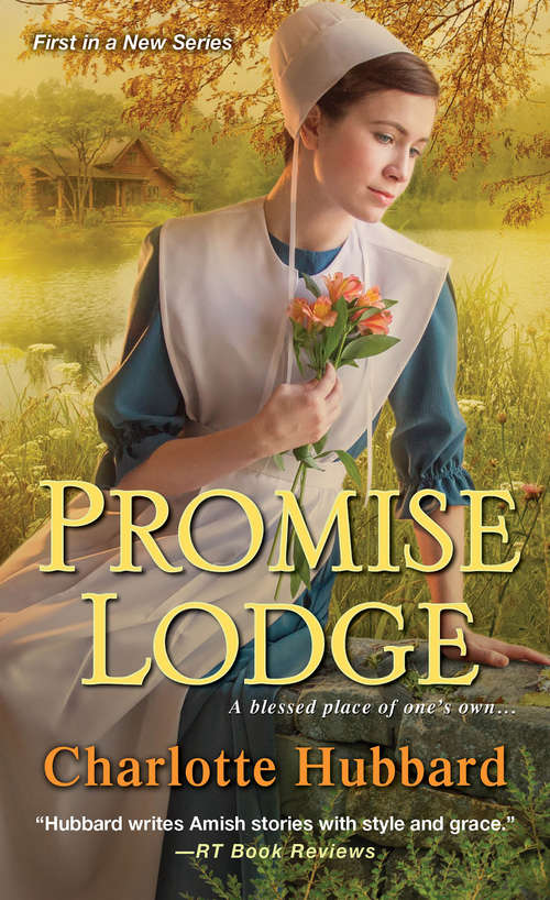 Book cover of Promise Lodge