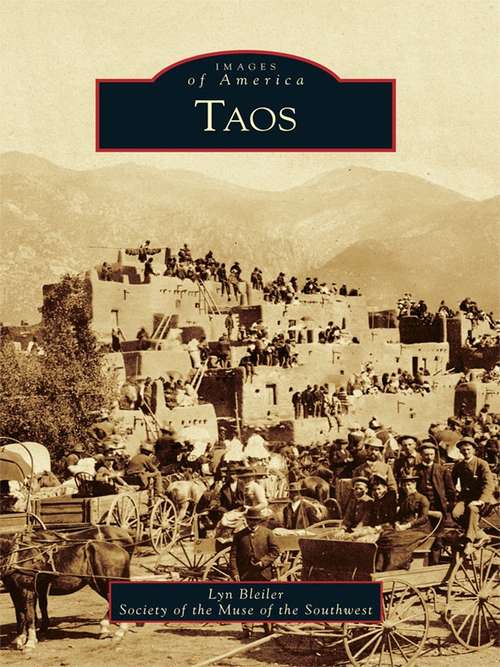 Book cover of Taos