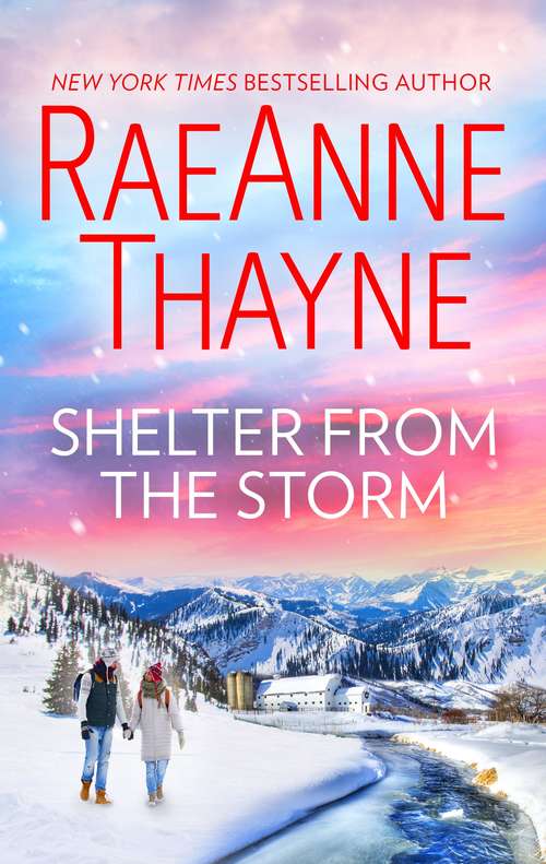 Shelter from the Storm: Shelter From The Storm (Mills And Boon Intrigue Ser.)