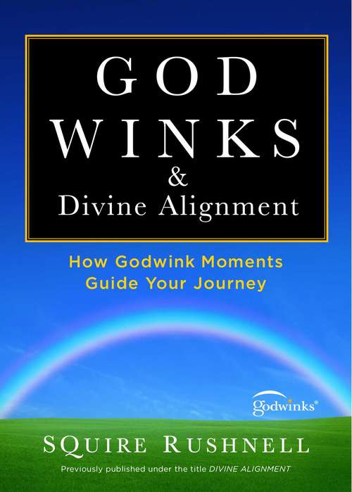 Book cover of Divine Alignment