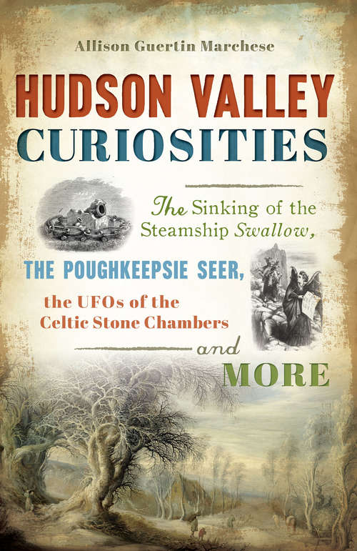 Book cover of Hudson Valley Curiosities: The Sinking of the Steamship Swallow, the Poughkeepsie Seer, the UFOs of the Celtic Stone Chambers and More