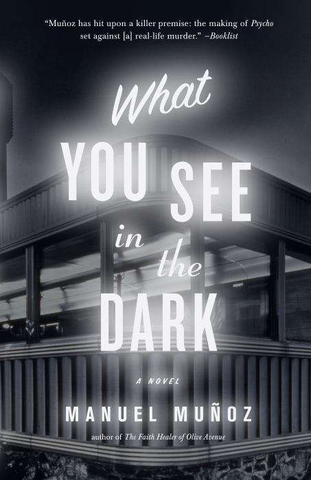 Book cover of What You See in the Dark