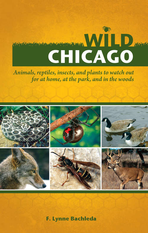 Book cover of Wild Chicago