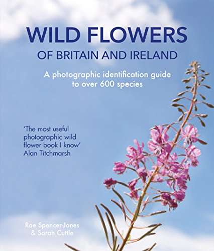 Book cover of Wild Flowers of Britain and Ireland
