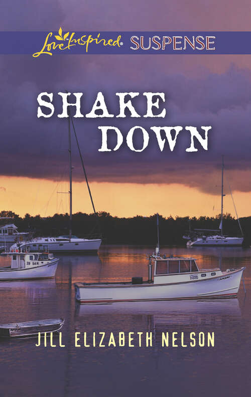 Shake Down: Shake Down Critical Diagnosis Smoky Mountain Investigation
