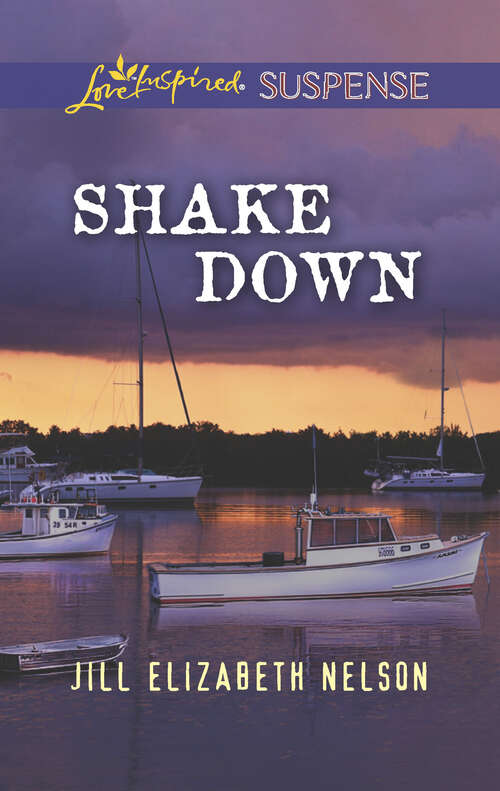 Book cover of Shake Down: Shake Down Critical Diagnosis Smoky Mountain Investigation