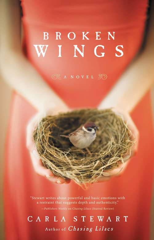 Book cover of Broken Wings