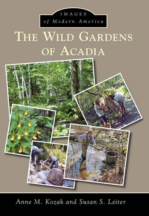 Book cover of The Wild Gardens of Acadia (Images of Modern America)