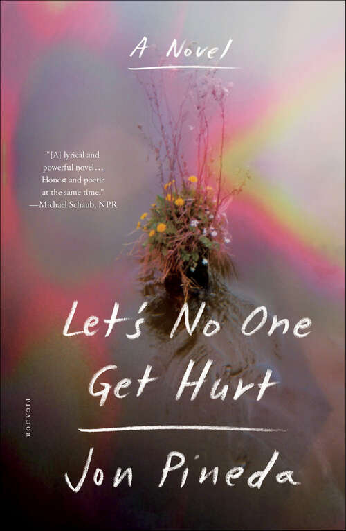 Book cover of Let's No One Get Hurt: A Novel