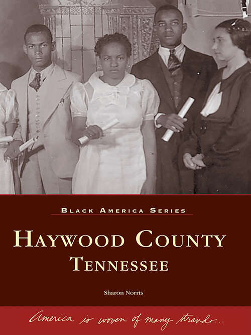 Book cover of Haywood County, Tennessee (Black America Series)
