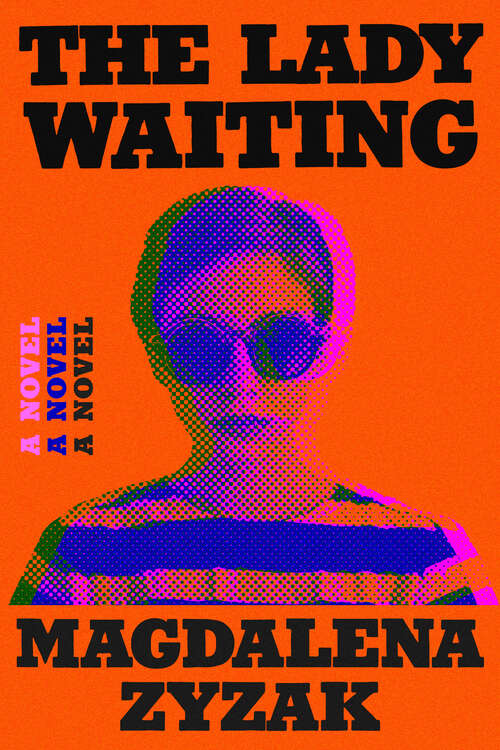 Book cover of The Lady Waiting: A Novel